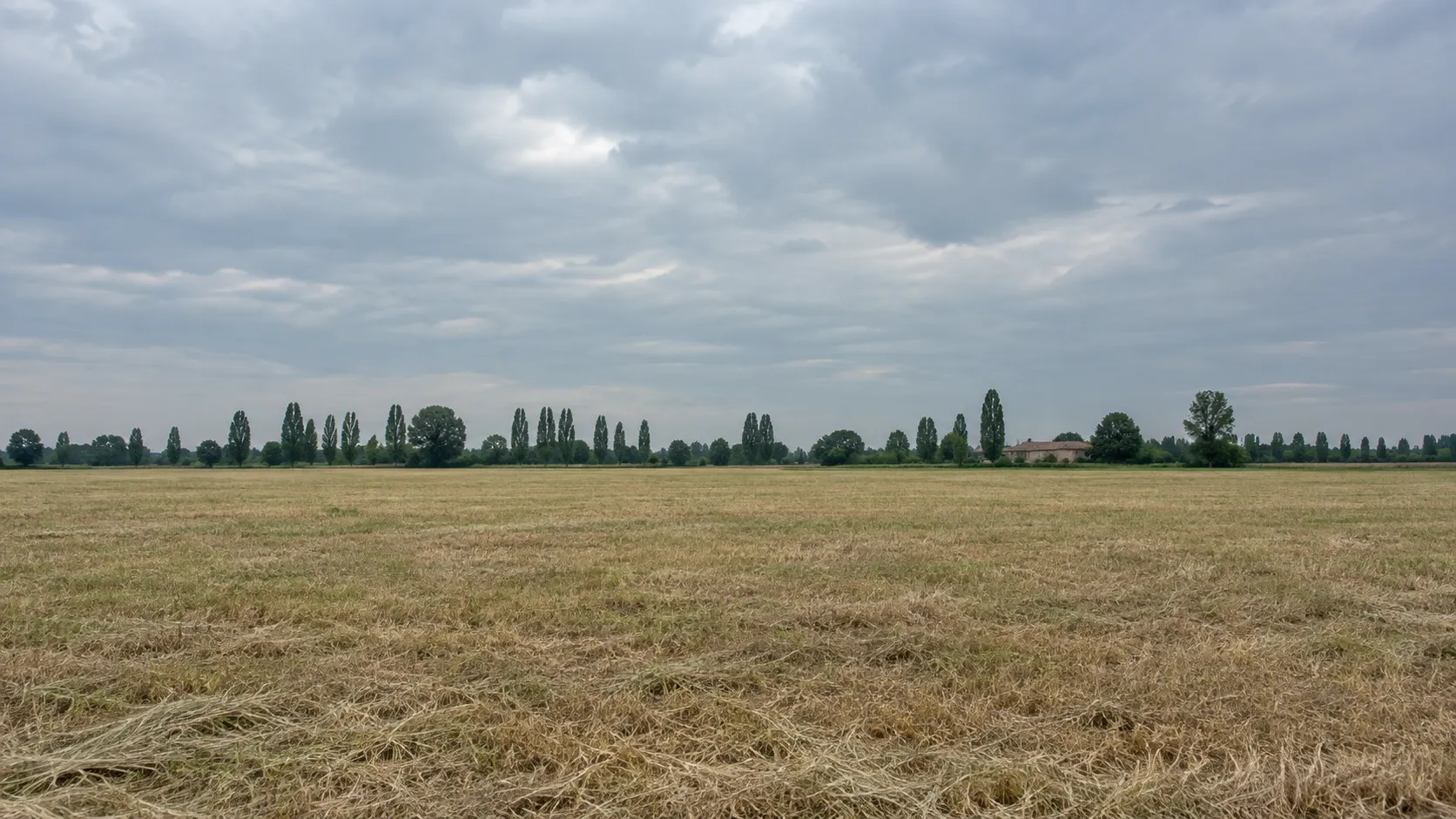 Prato appena falciato nella Pianura Padana, con una rotopressa ferma e balle di fieno
